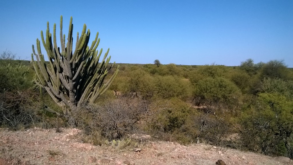 fotos-inicio-web-2016-18