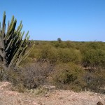 fotos-inicio-web-2016-18