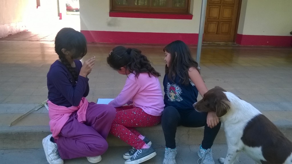 fotos-inicio-web-2016-20